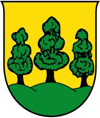 Emblem of Saalfelden am Steinernen Meer