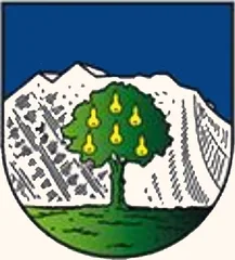 Emblem of Wals-Siezenheim