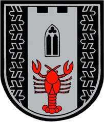 Emblem of Naas