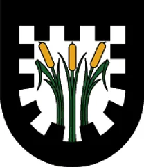Emblem of Pinswang