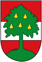 Emblem of Dornbirn