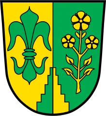 Emblem of Binswangen