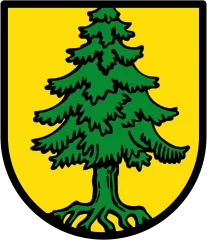 Emblem of Tann (Rhön)