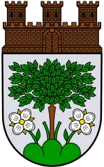 Emblem of Baumholder