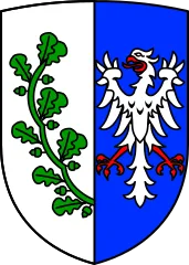 Emblem of Saalstadt