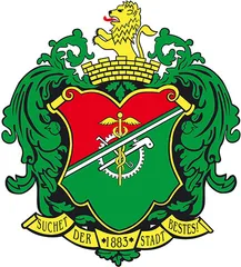 Emblem of Limbach-Oberfrohna