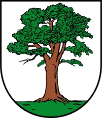 Emblem of Berga/Elster