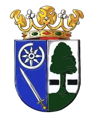 Emblem of Heerenveen