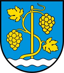 Emblem of Schinznach