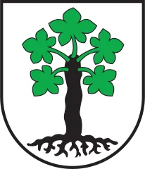 Emblem of Trun
