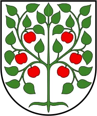 Emblem of Amriswil