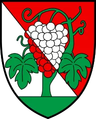Emblem of Bourg-en-Lavaux